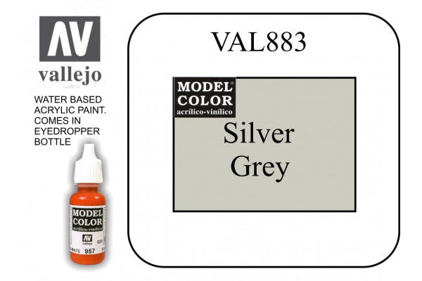 VAL883 Model Color - Silver Grey 