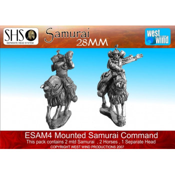 ESAM04 Mtd Command (2)